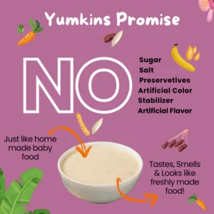 No_preservatives_Wheat_Baby_Cereal